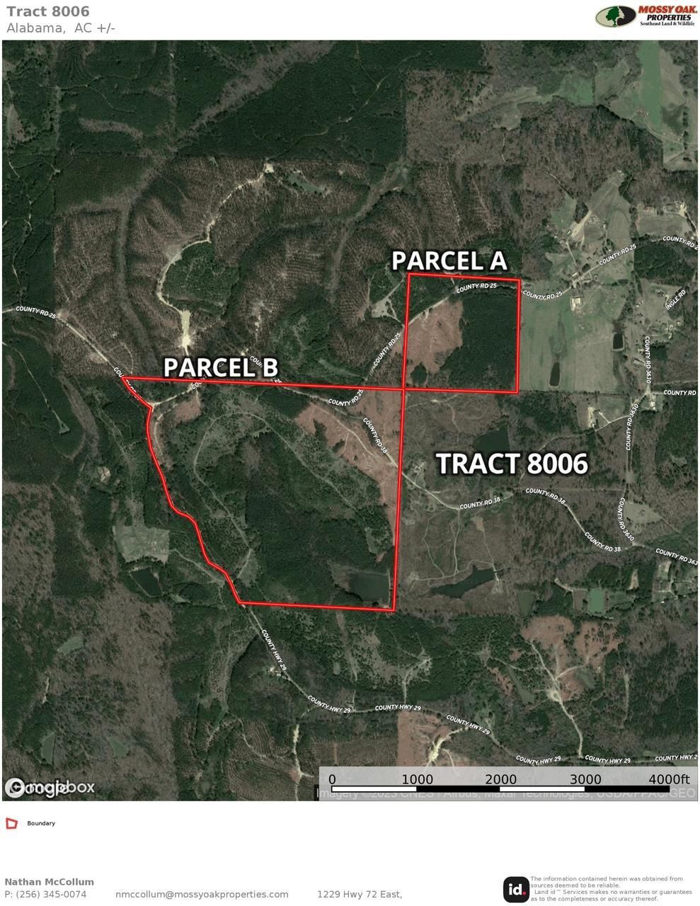 42.56 acres in Winston County, Alabama