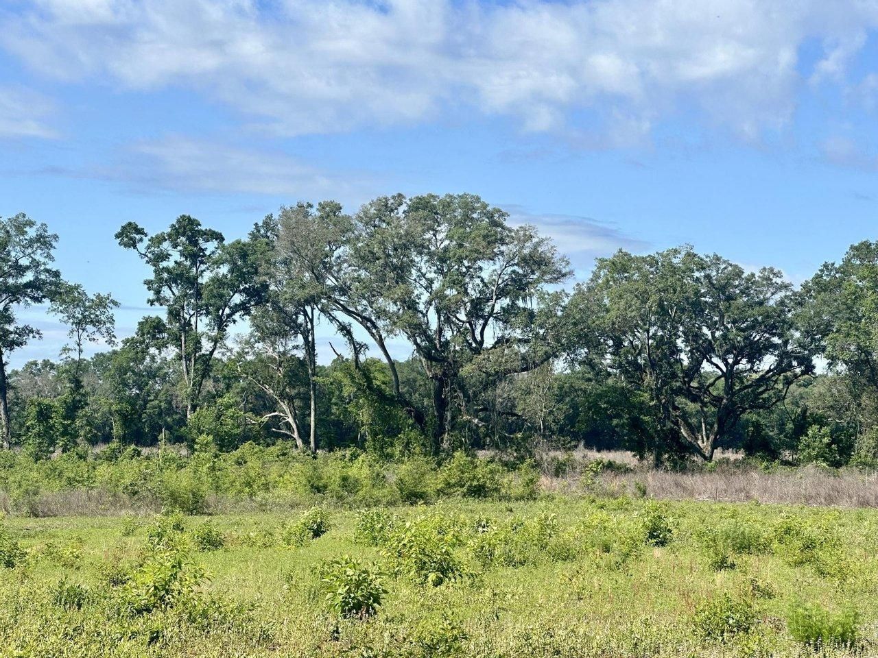 10 acres in Madison County, Florida