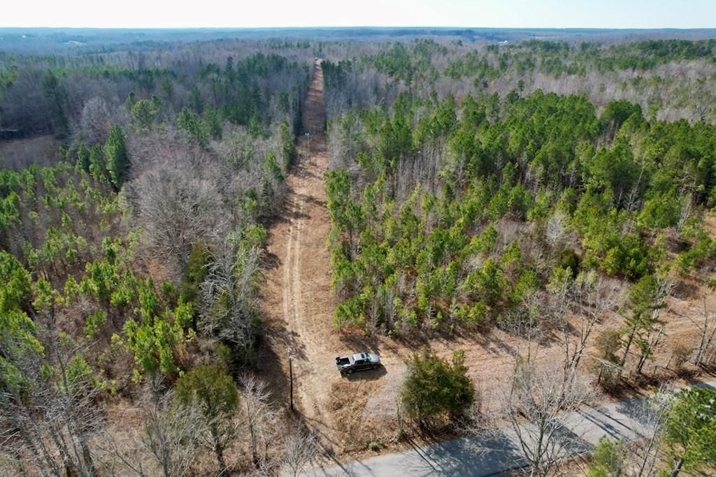 32 acres in Nottoway County, Virginia