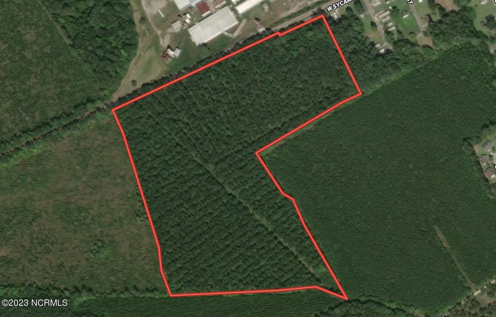40 acres in Bertie County, North Carolina