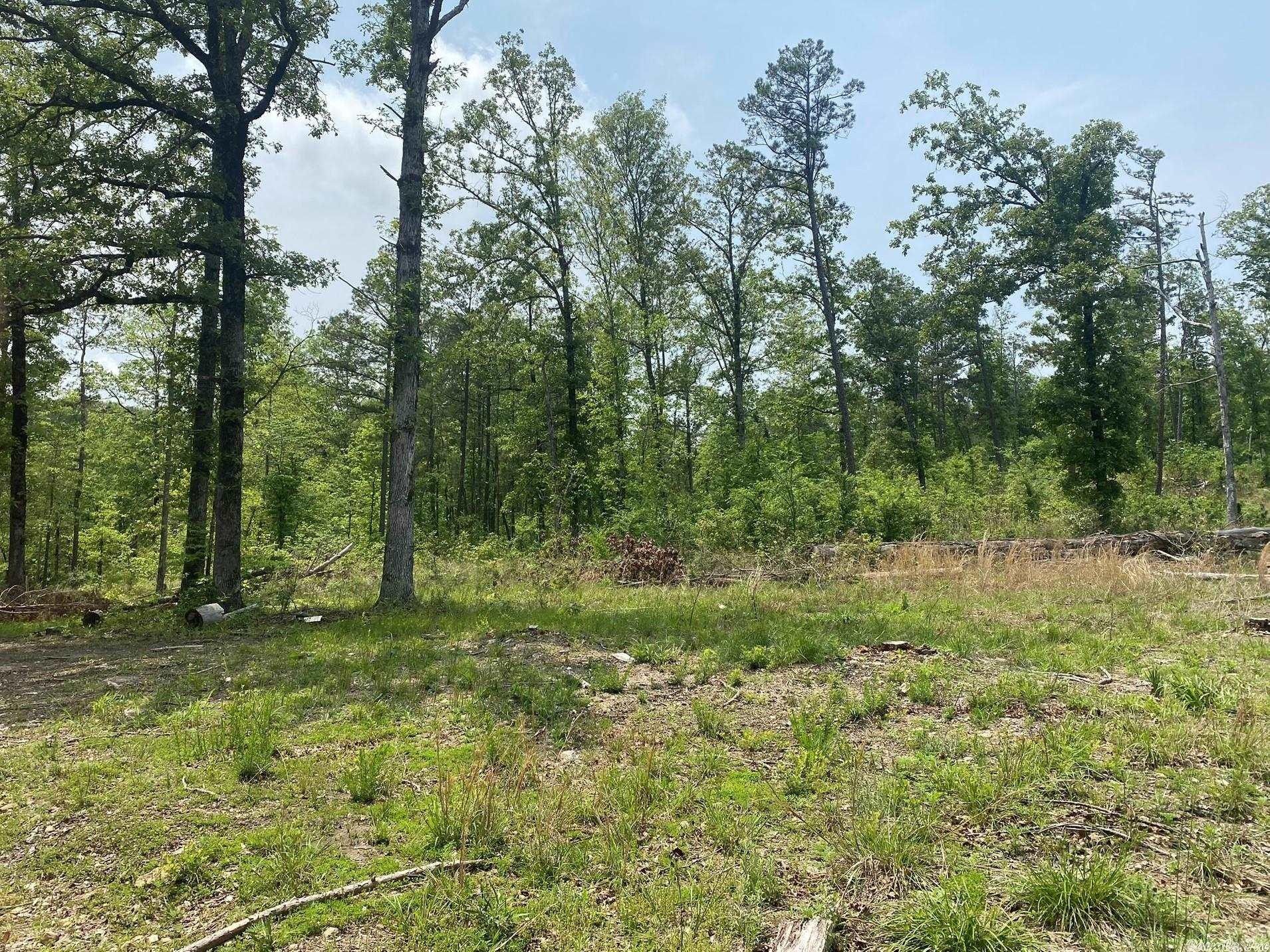 115 acres in Izard County, Arkansas
