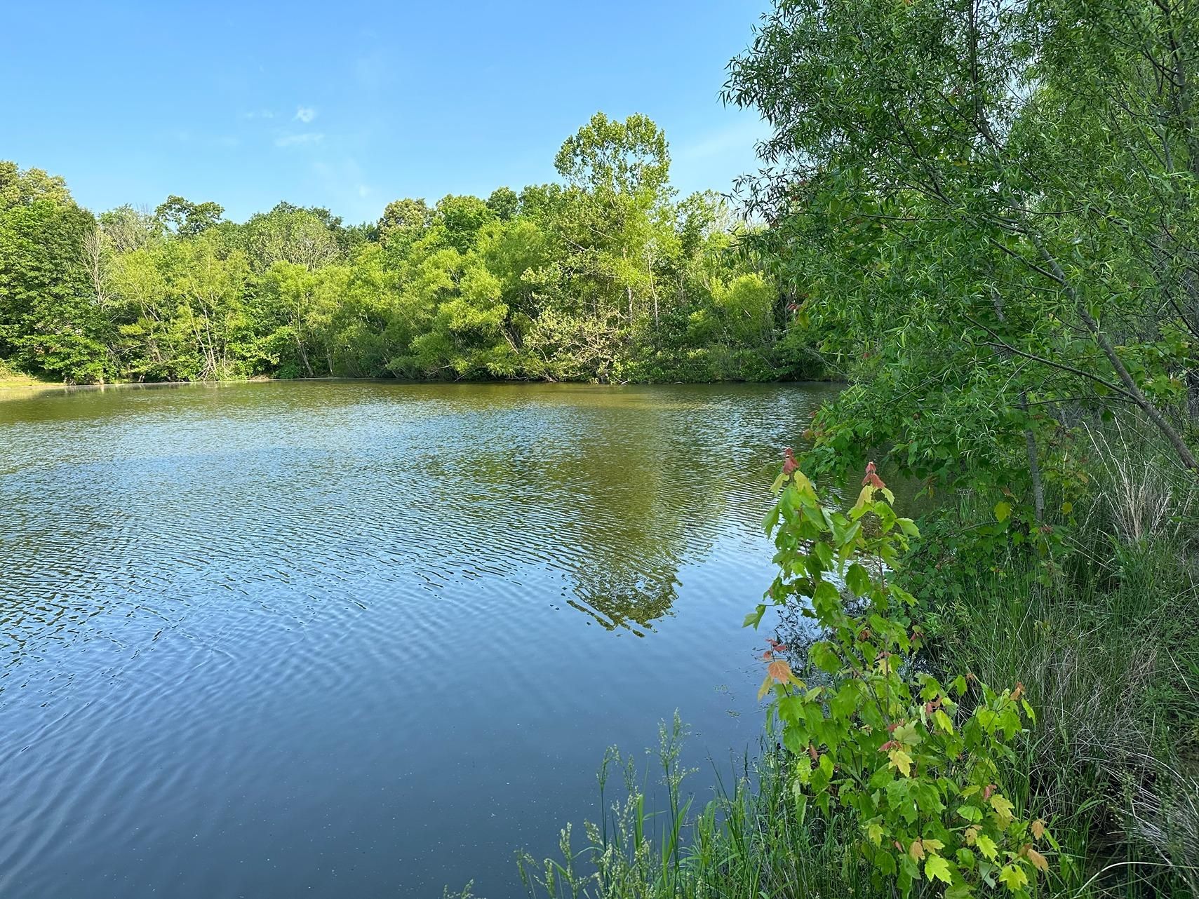 Skyhawk Road, Carbondale, IL 62902 MLS 23210