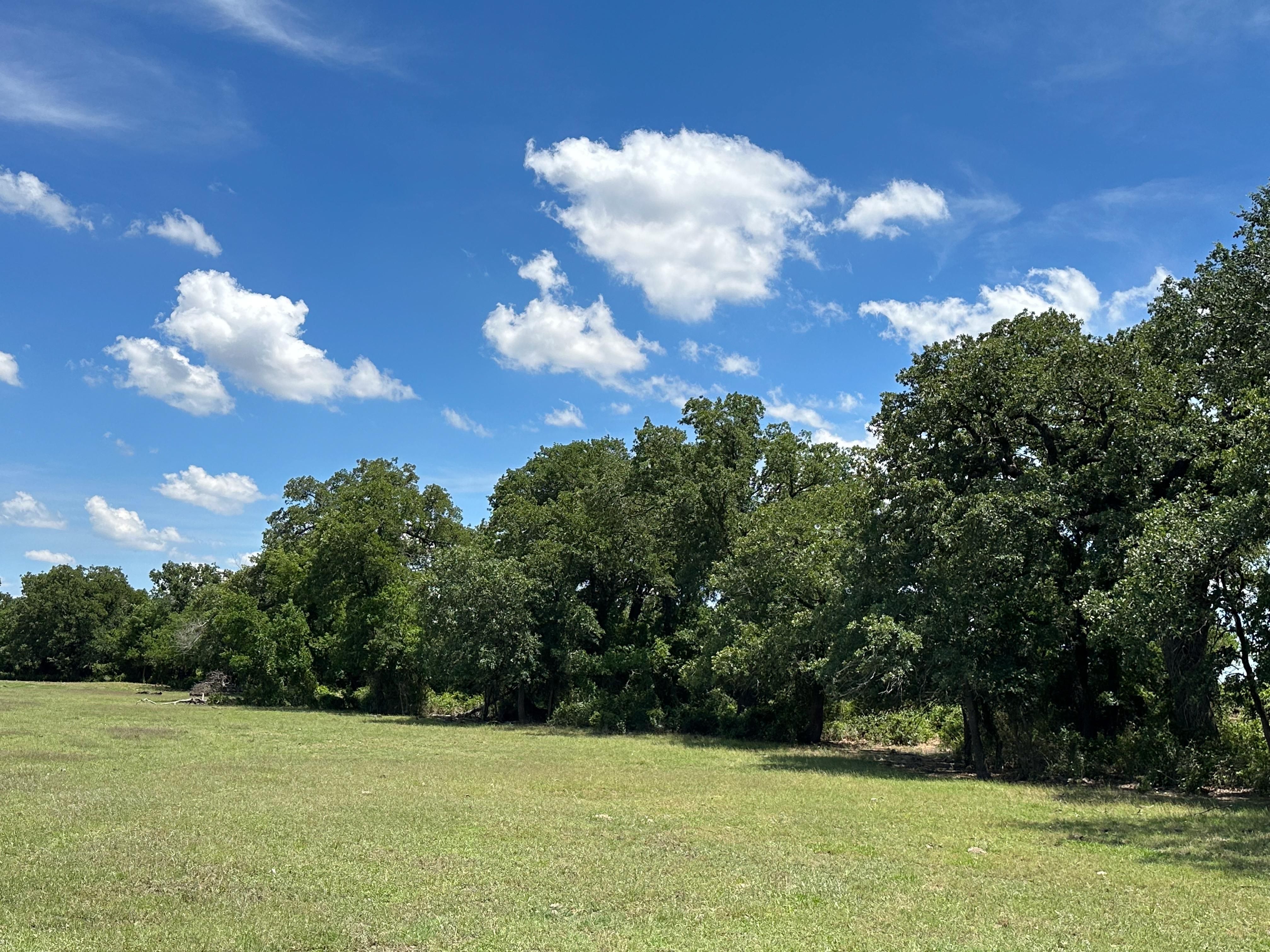 970 County Road 152, Comanche, TX 76442 MLS 20296060