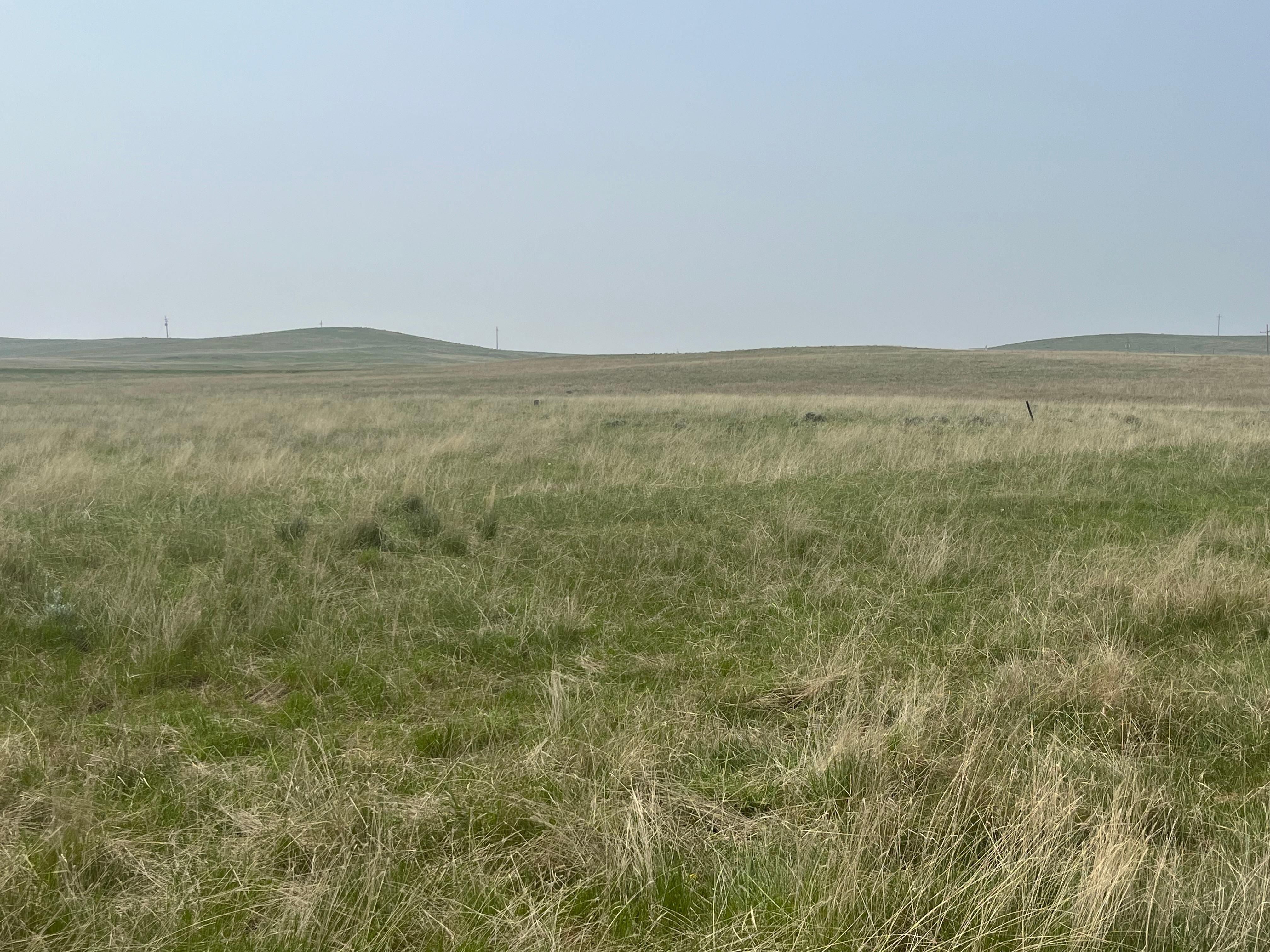 320 acres in Fallon County, Montana