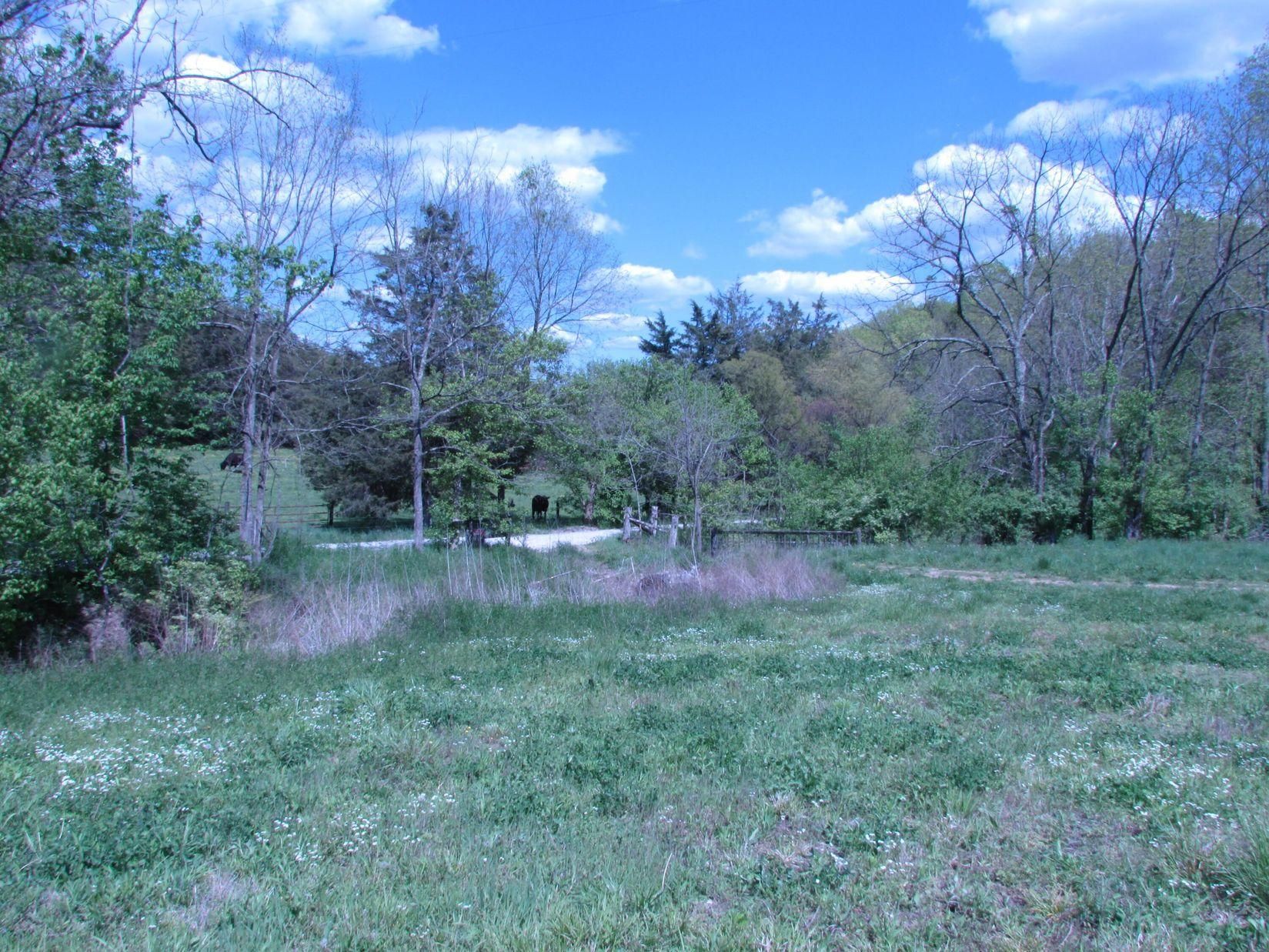 31 acres in Bath County, Kentucky