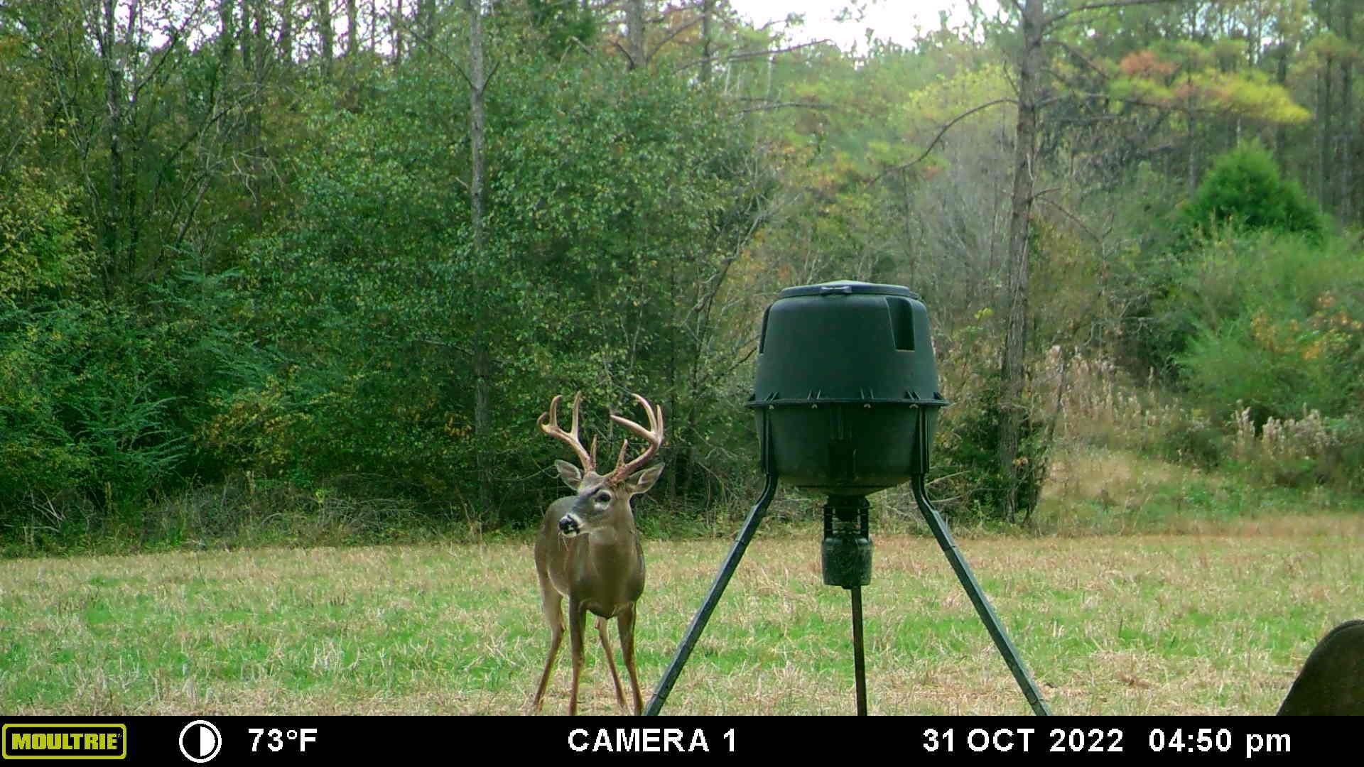 570 acres in Crenshaw County, Alabama