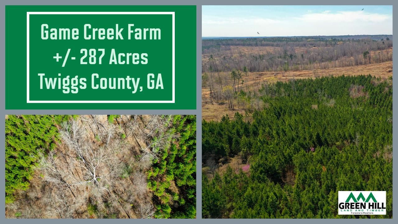 287 acres in Twiggs County,