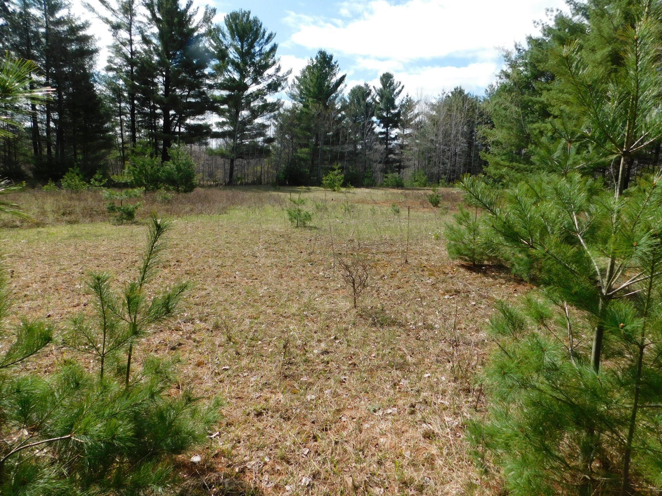 22 acres in Shawano County, Wisconsin