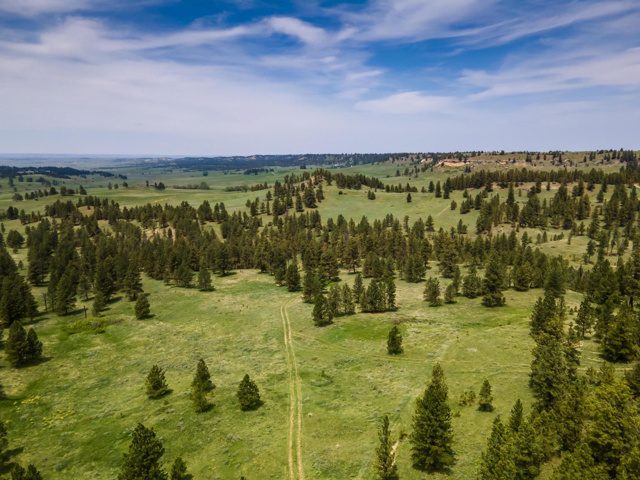 160 acres in Rosebud County, Montana