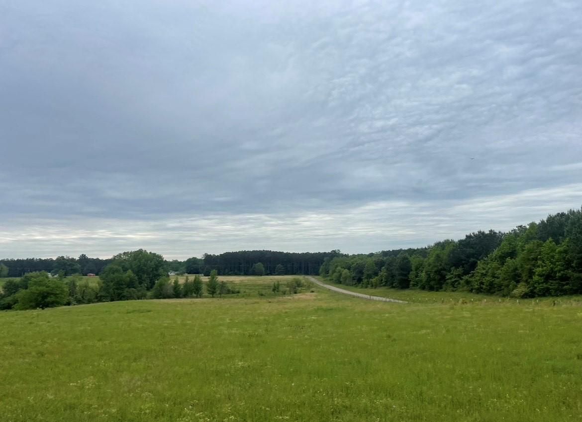 12 acres in Simms, TX, 75574 MLS 20338334