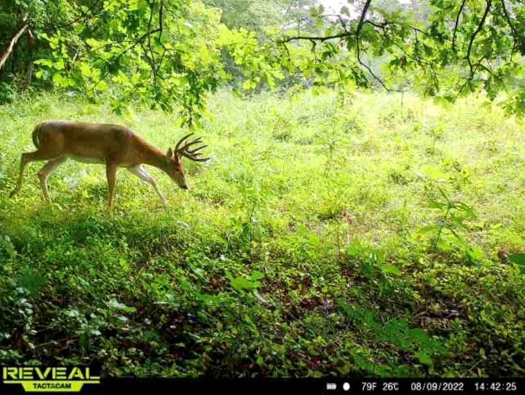 State Route 144, Coolville, OH 45623 MLS Athens County Ohio Land for