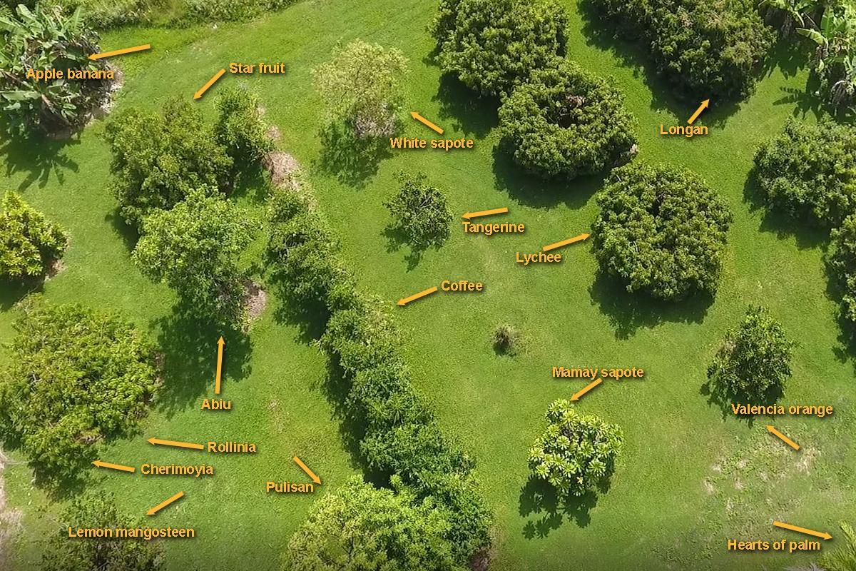 3 acres in Hawaii County, Hawaii