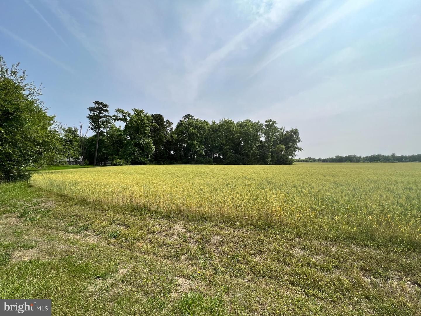 2.01 acres in Dorchester County, Maryland