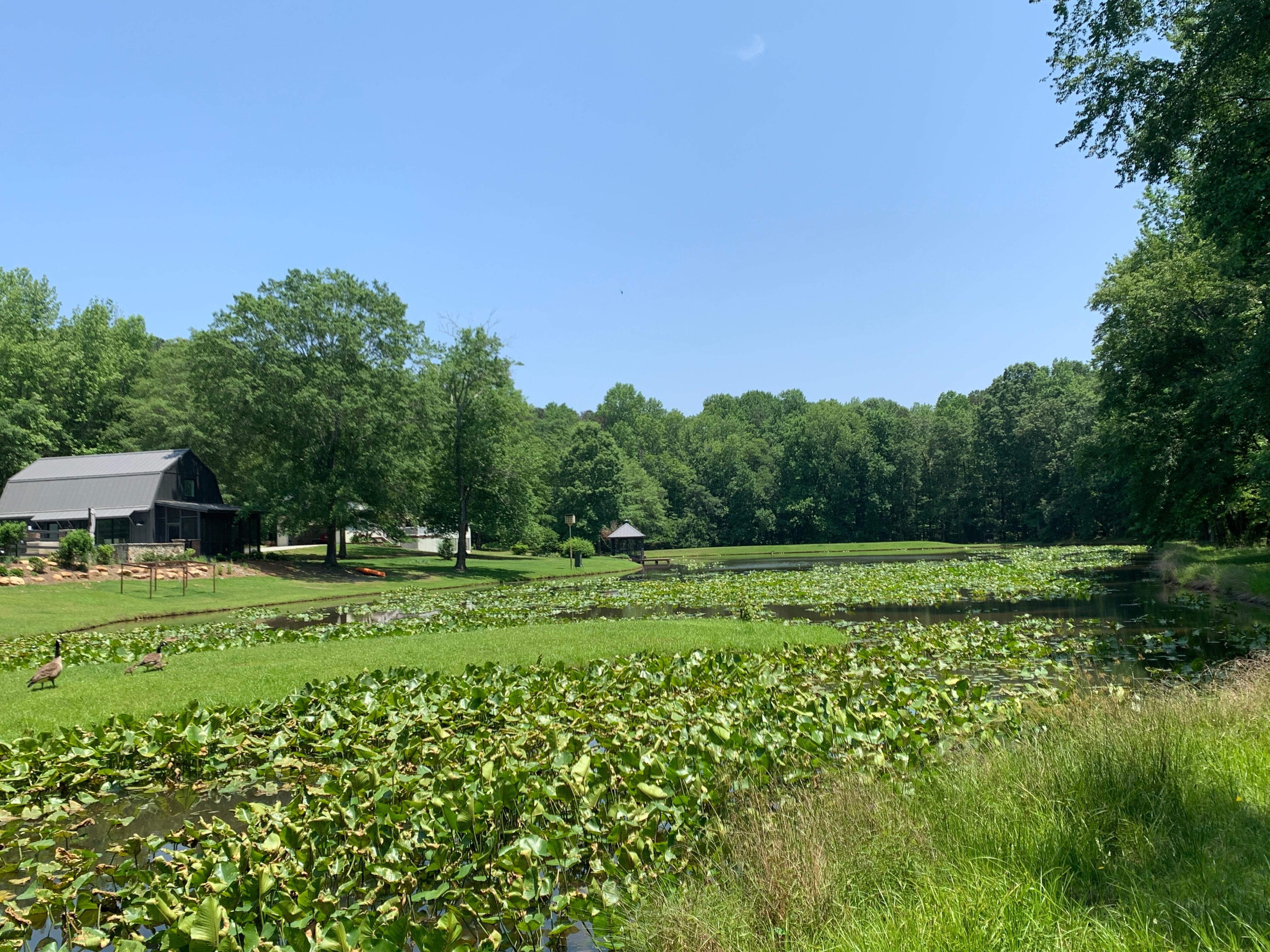 25.93 acres in Walton County,