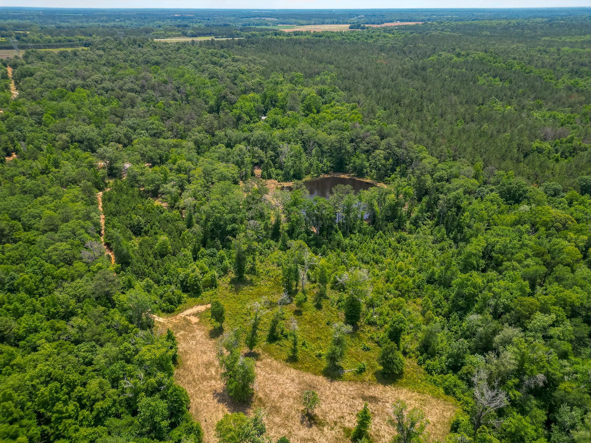 60 acres in Sumter County,