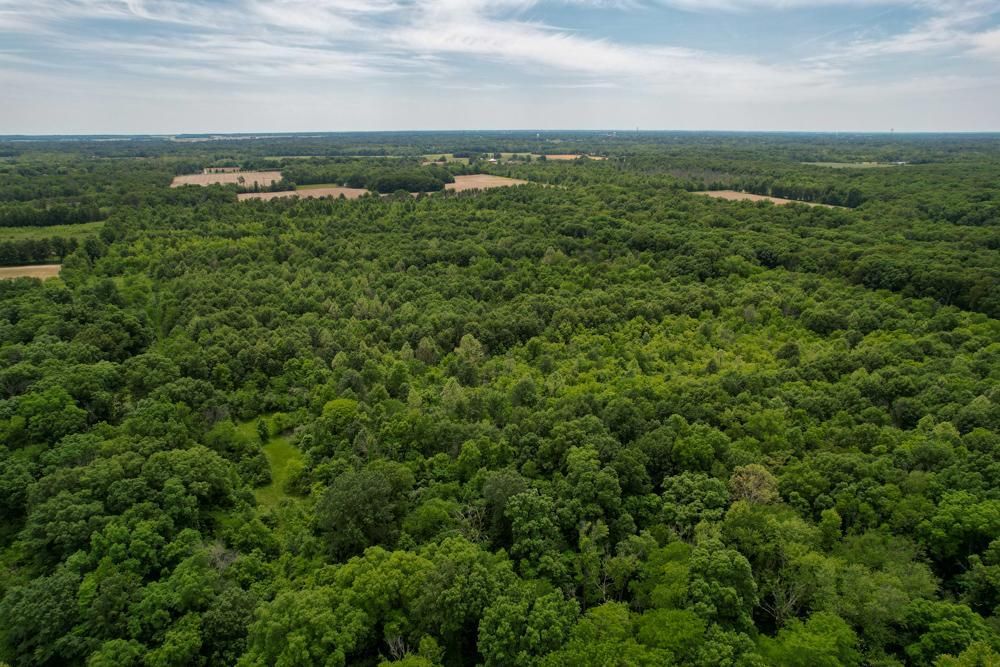 90 acres in Marion County, Illinois