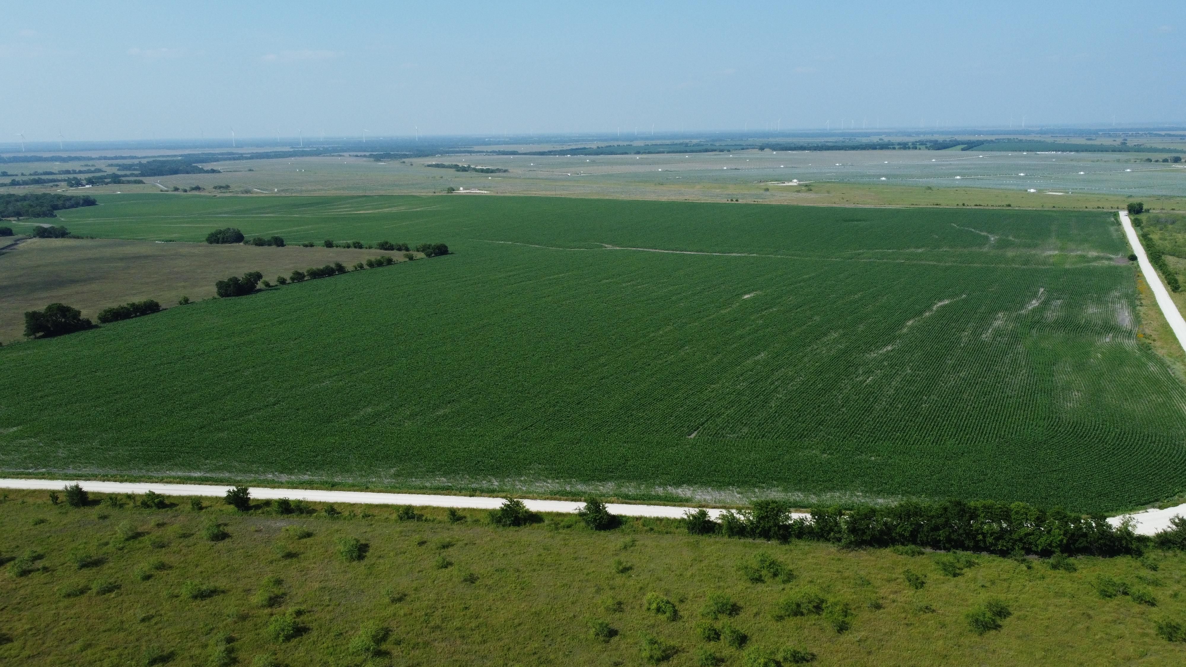 271 acres in Limestone County, Texas