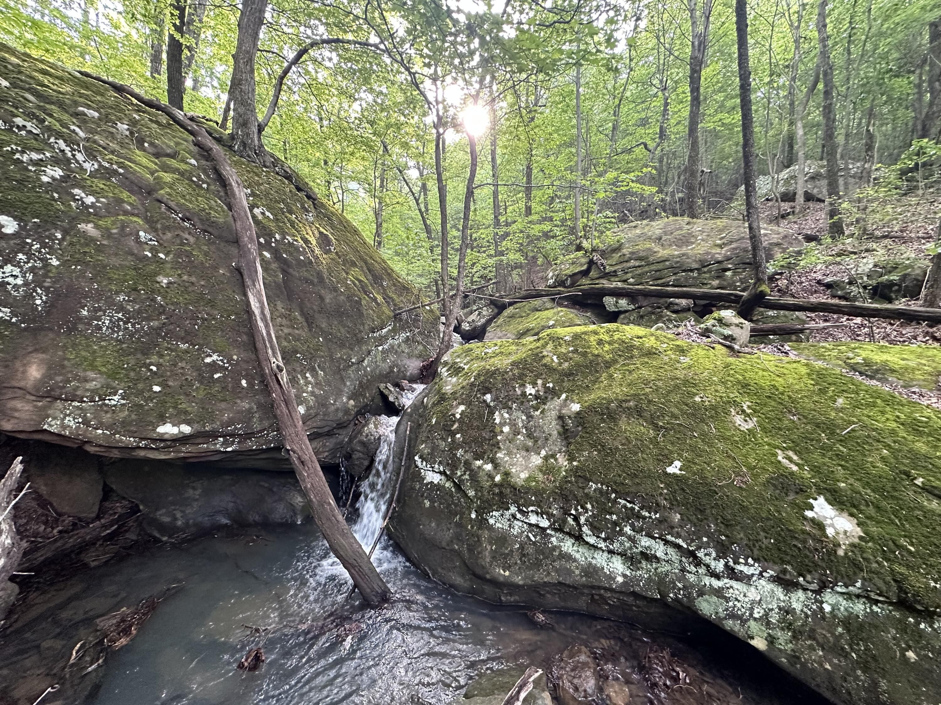 10 acres in Newton County, Arkansas