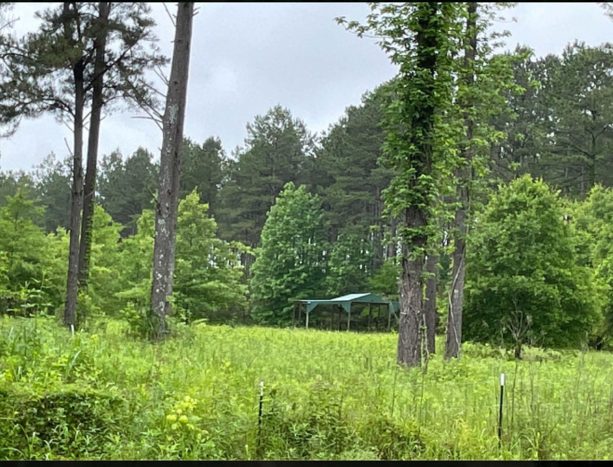 7 acres in Hinds County, Mississippi