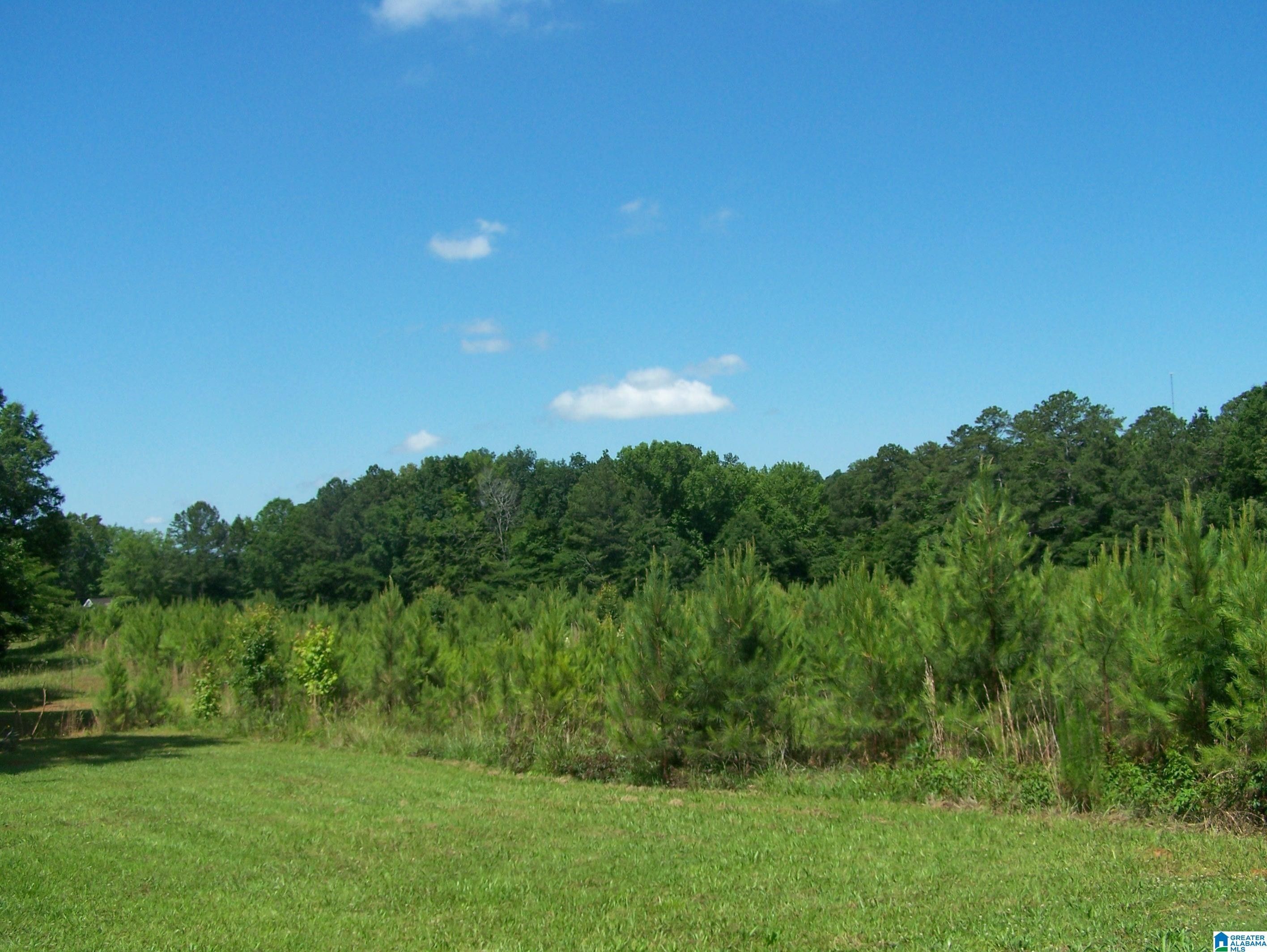 84 Acres In Talladega County Alabama