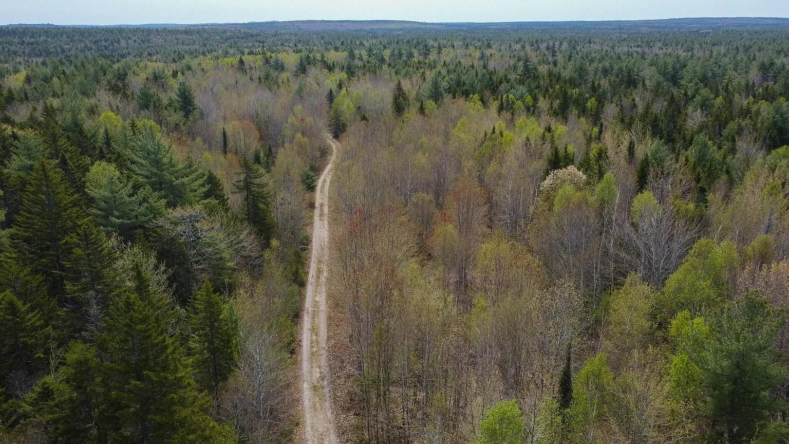 40 acres in Washington County, Maine