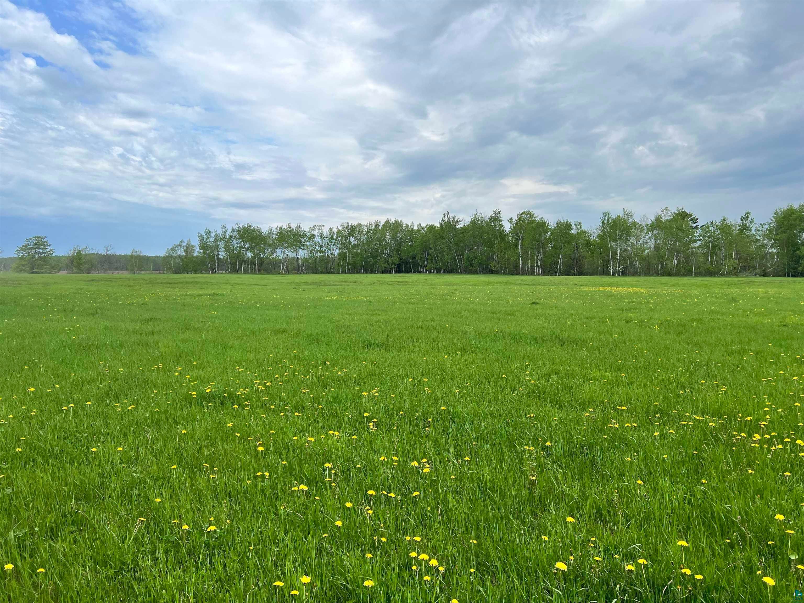 10 acres in Bayfield County, Wisconsin