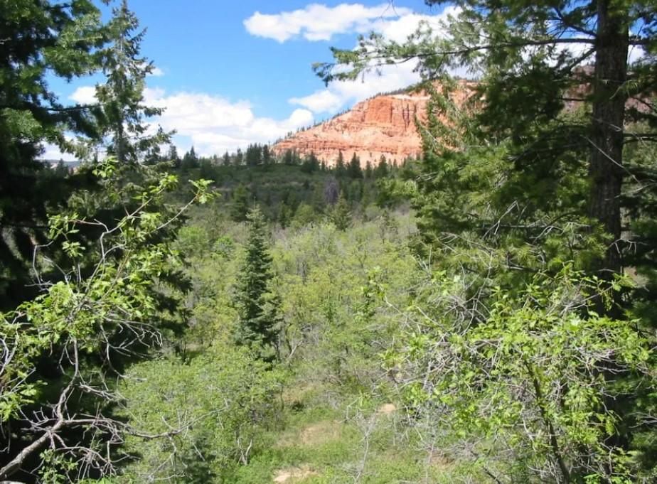 0.98 acres in Kane County, Utah