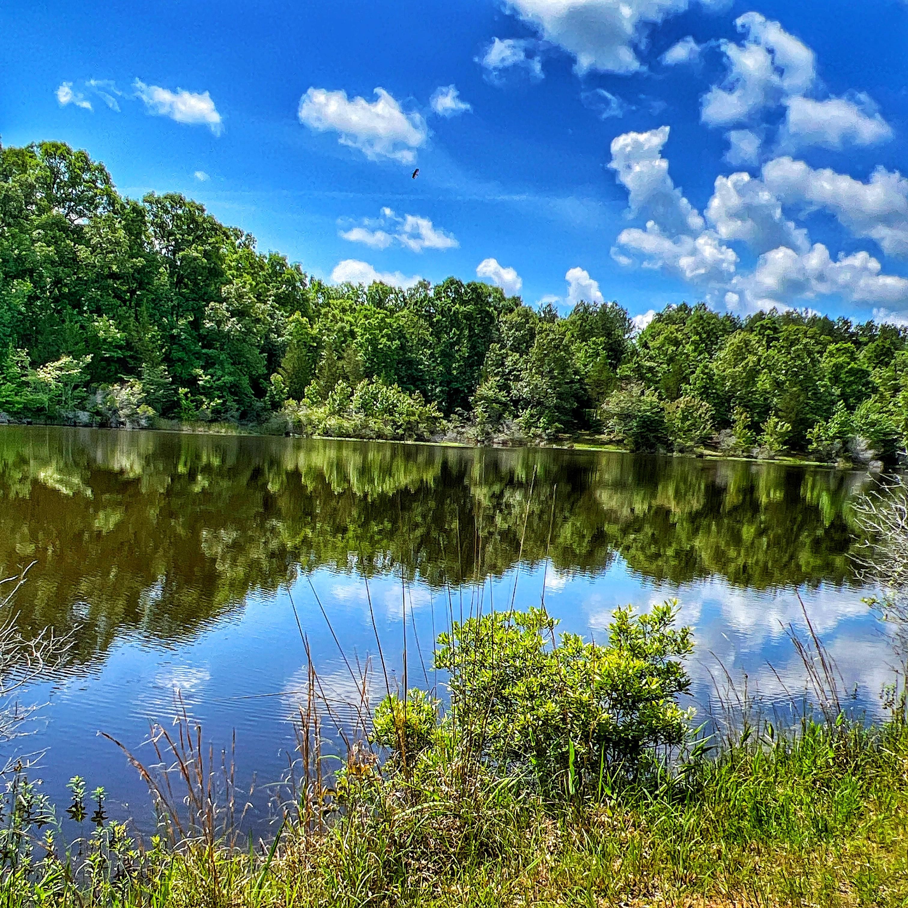 148 acres in Avery, TX, 75554