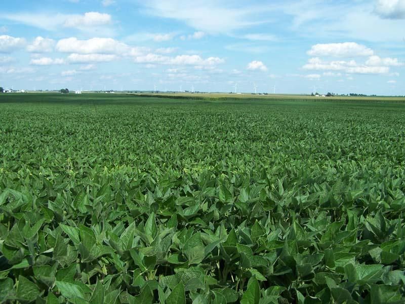 408 acres in Stark County, Illinois