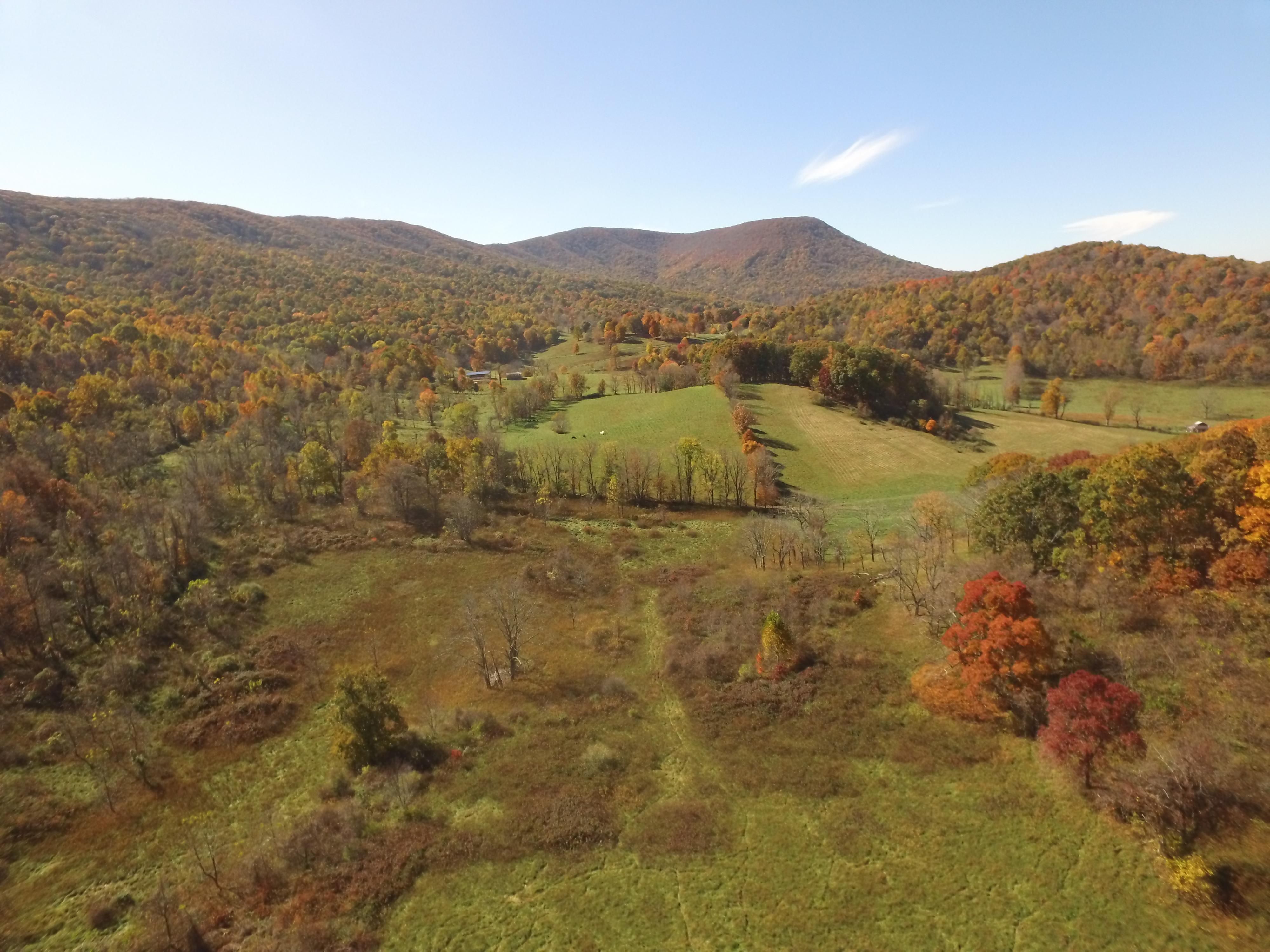 1634 Pigeon Creek Rd, Princeton, WV 24740