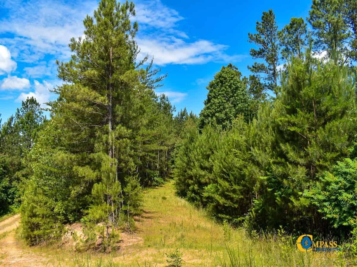 Gordon County, Oakman, GA 30734