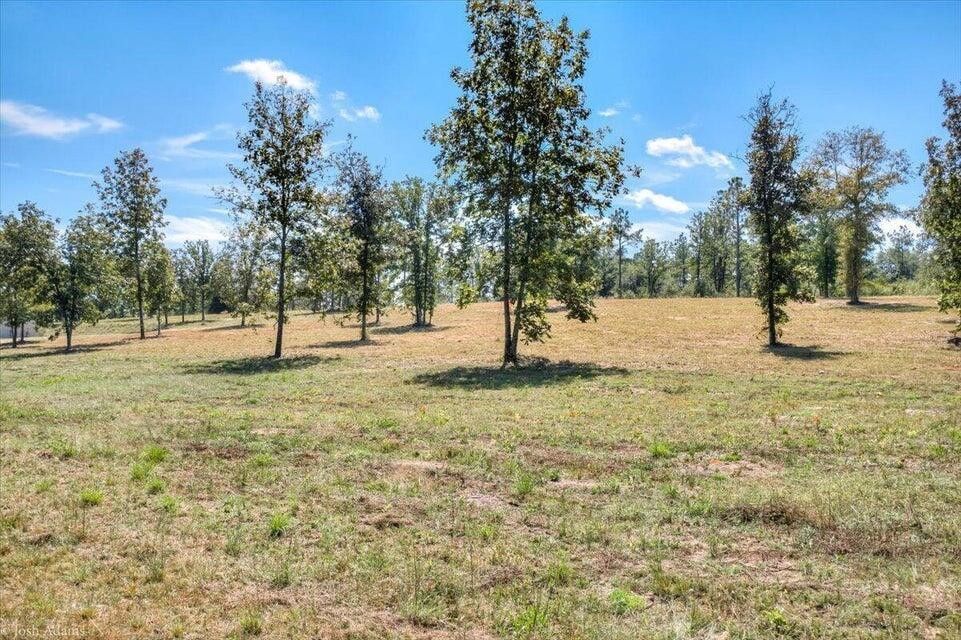 100 acres in Aiken County, South Carolina