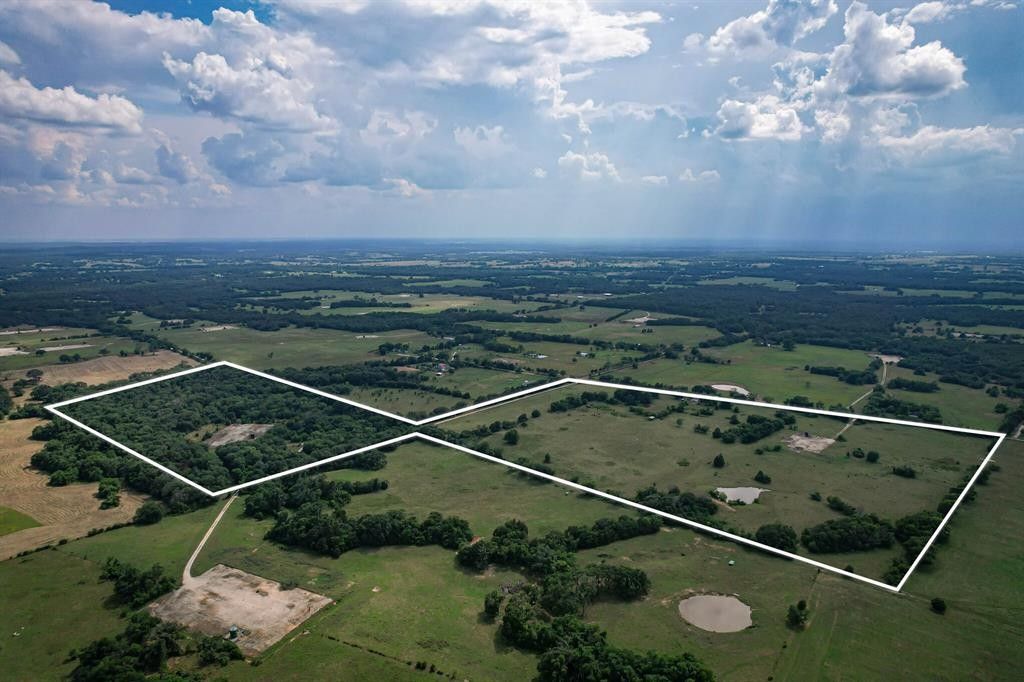 81 acres in Freestone County, Texas