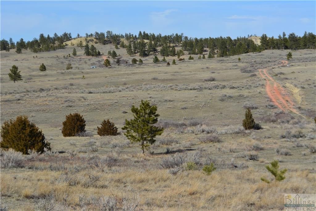 117 acres in Custer County, Montana