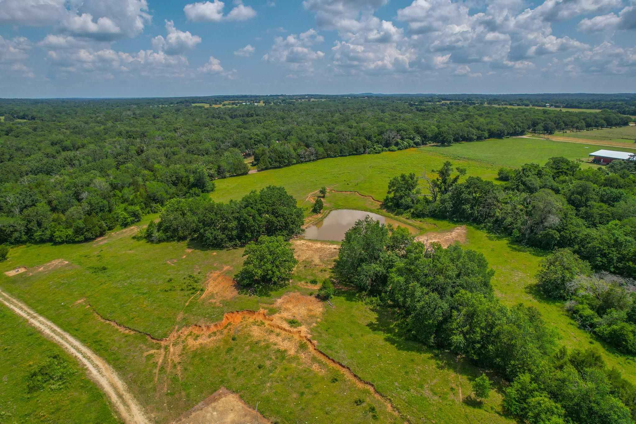 43.8 acres in Freestone County, Texas
