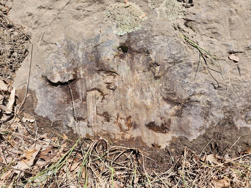 60 acres in Sullivan County, Pennsylvania