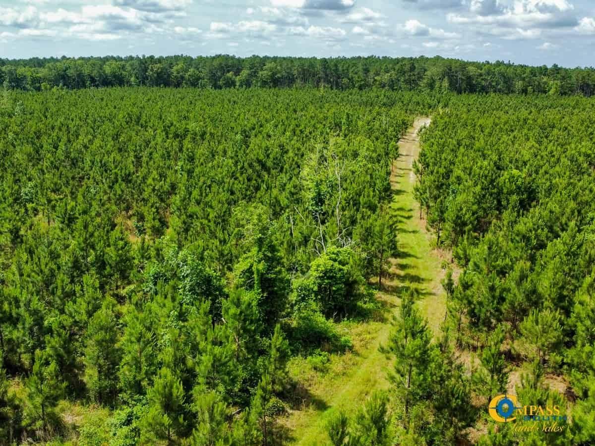 46 acres in Calhoun County, South Carolina