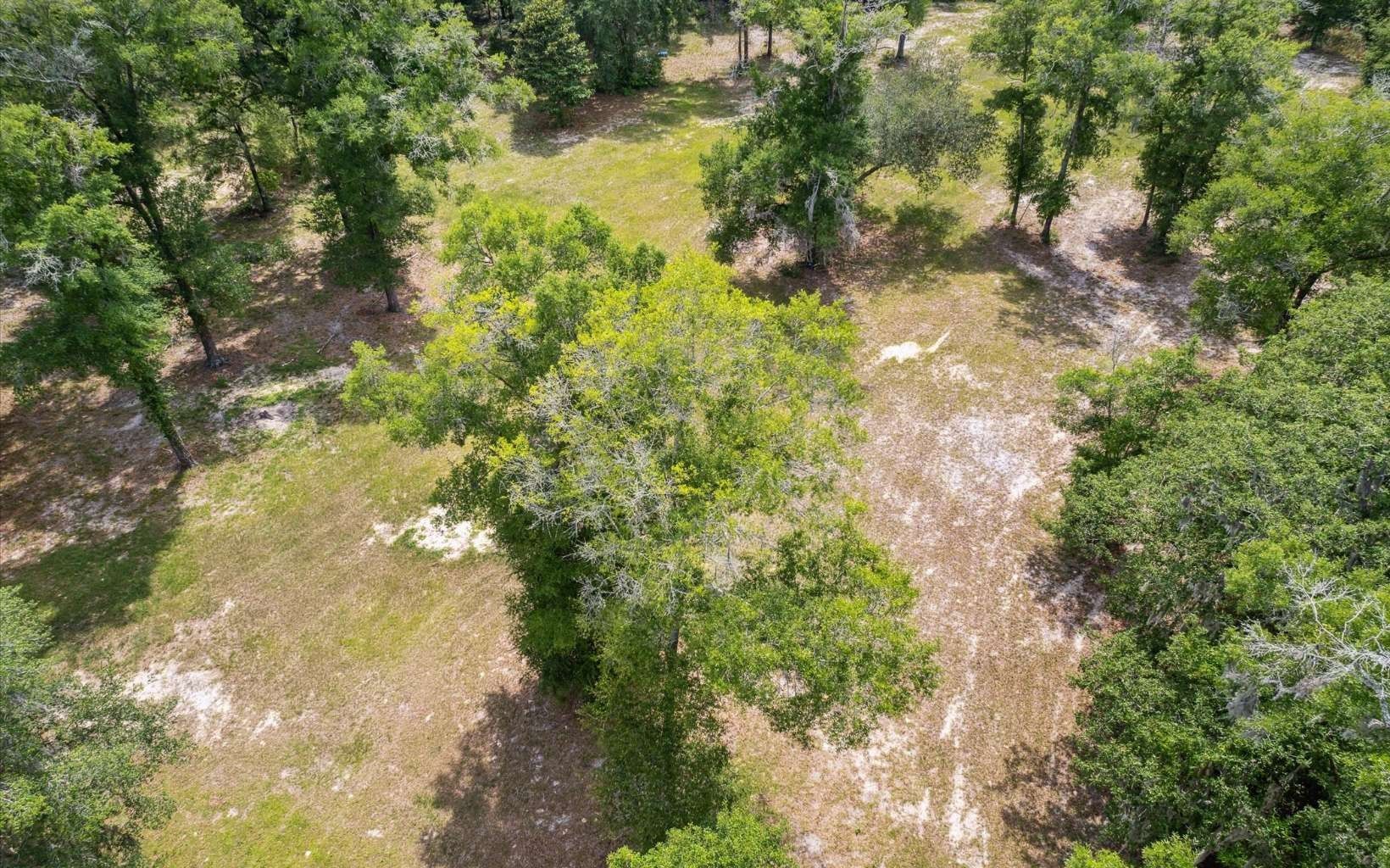 10.01 acres in Columbia County, Florida