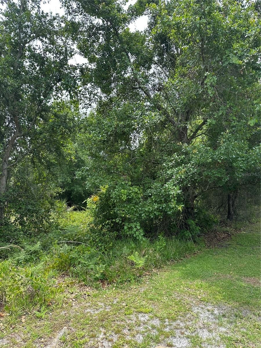 1.23 acres in Osceola County, Florida