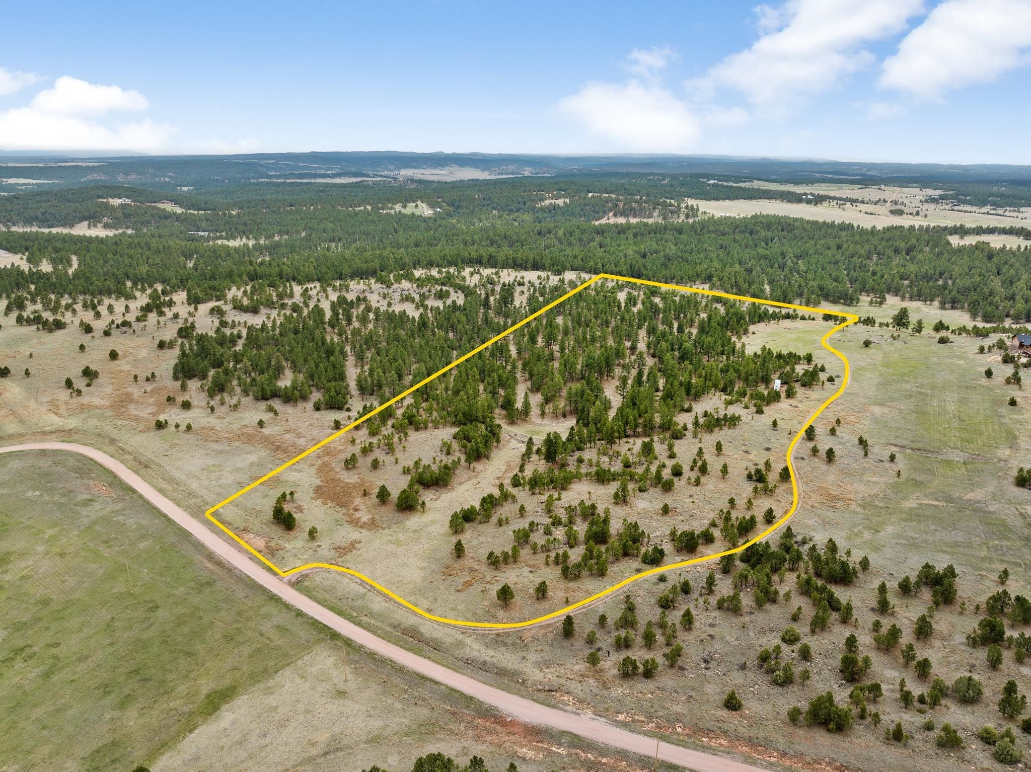 20 acres in Custer County, South Dakota