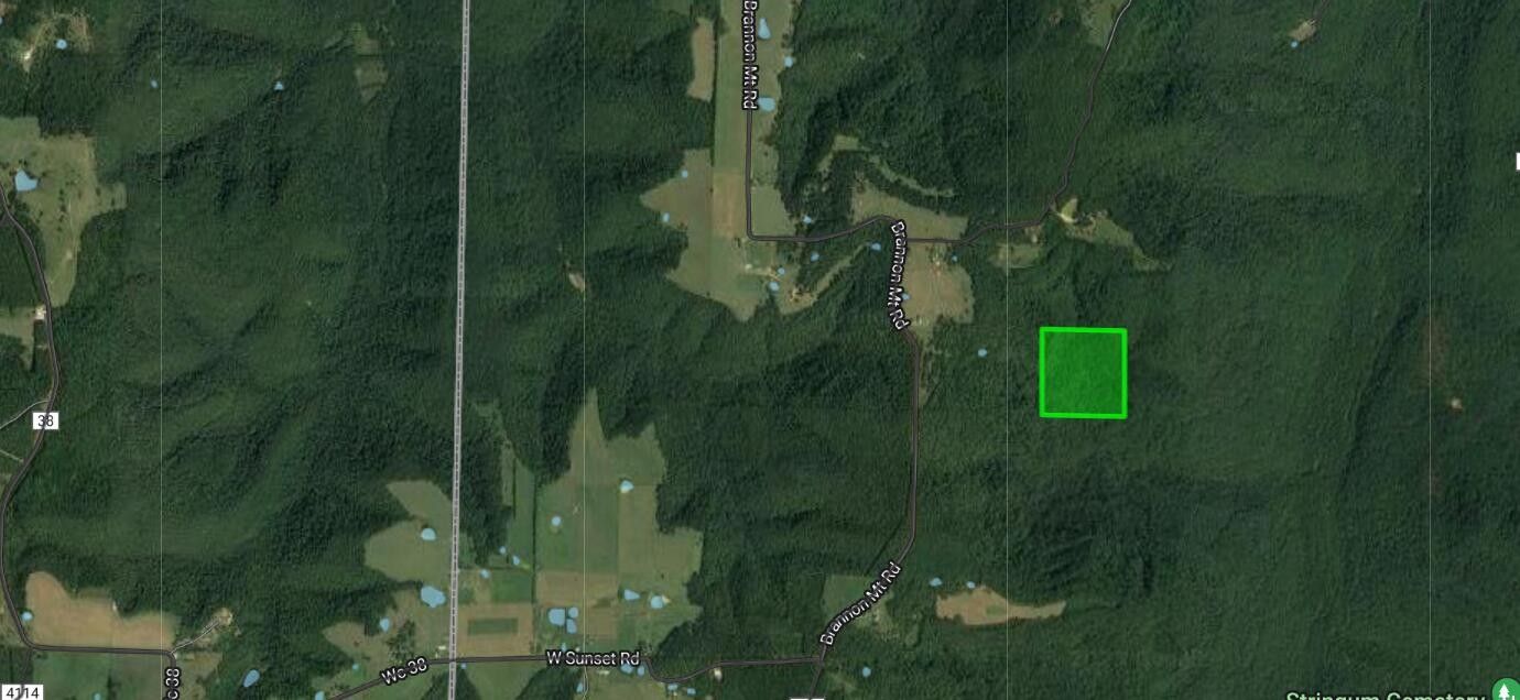 40 acres in Madison County, Arkansas
