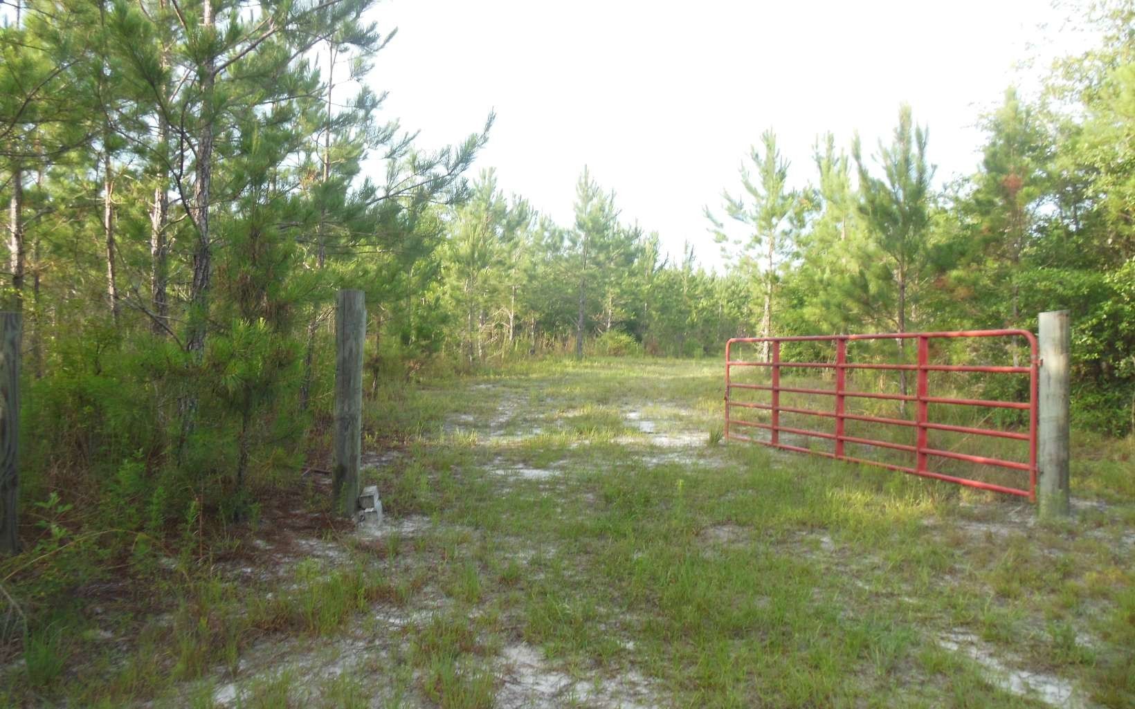 40 acres in Hamilton County, Florida