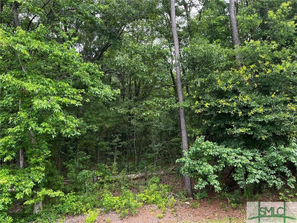 19.86 acres in Liberty County,