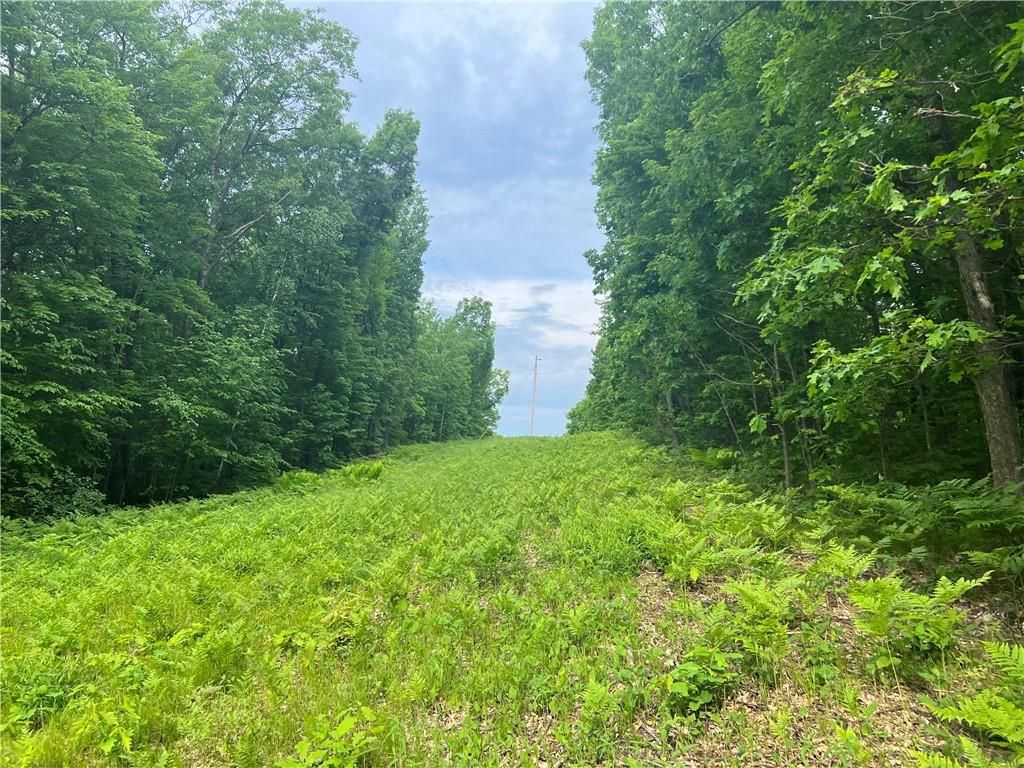 38.57 acres in Washburn County, Wisconsin