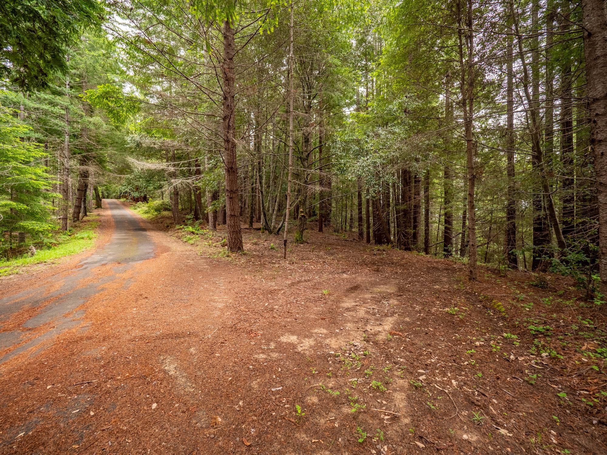 10 acres in Mendocino County, California