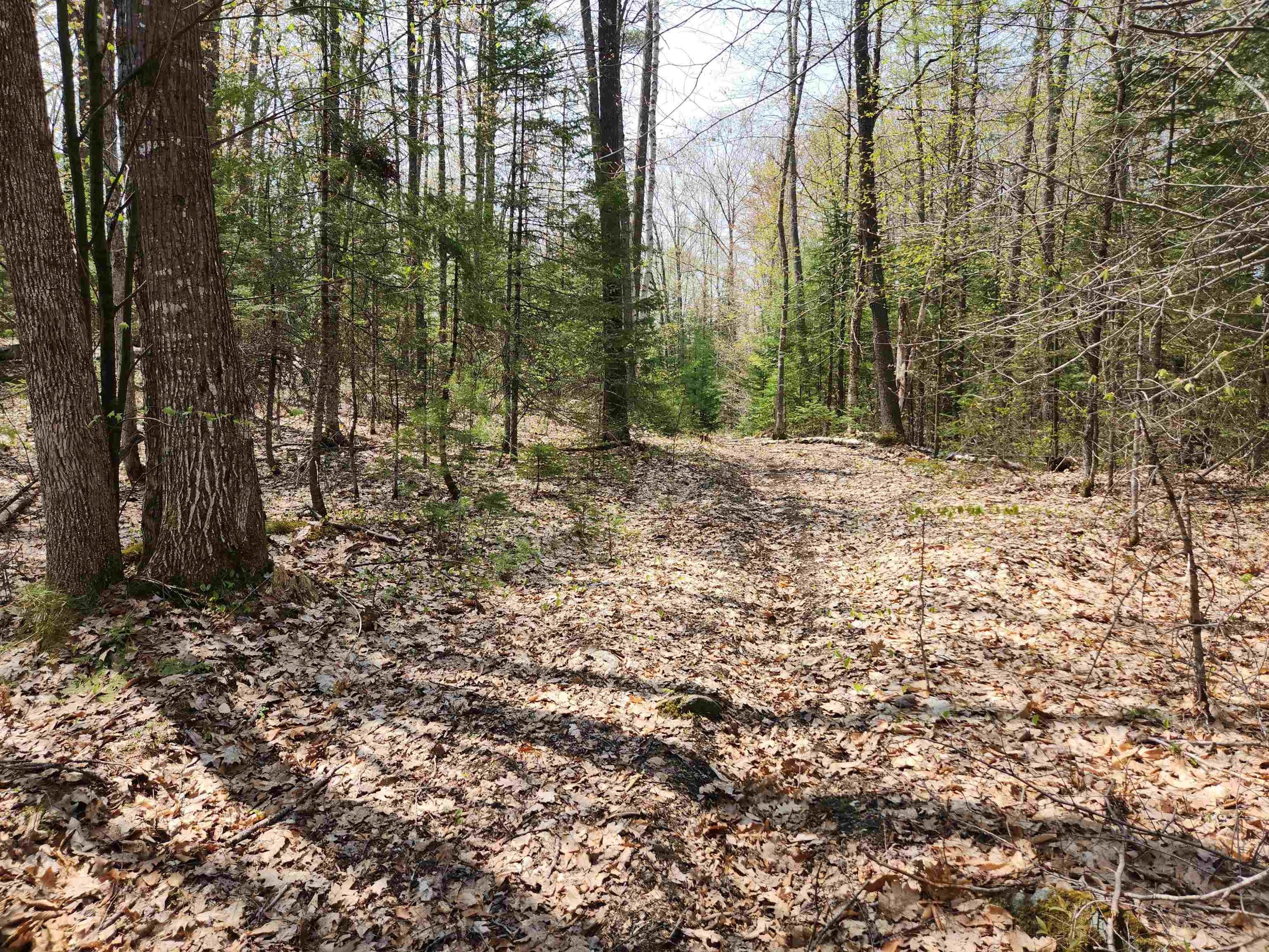 23.65 acres in Grafton County, New Hampshire