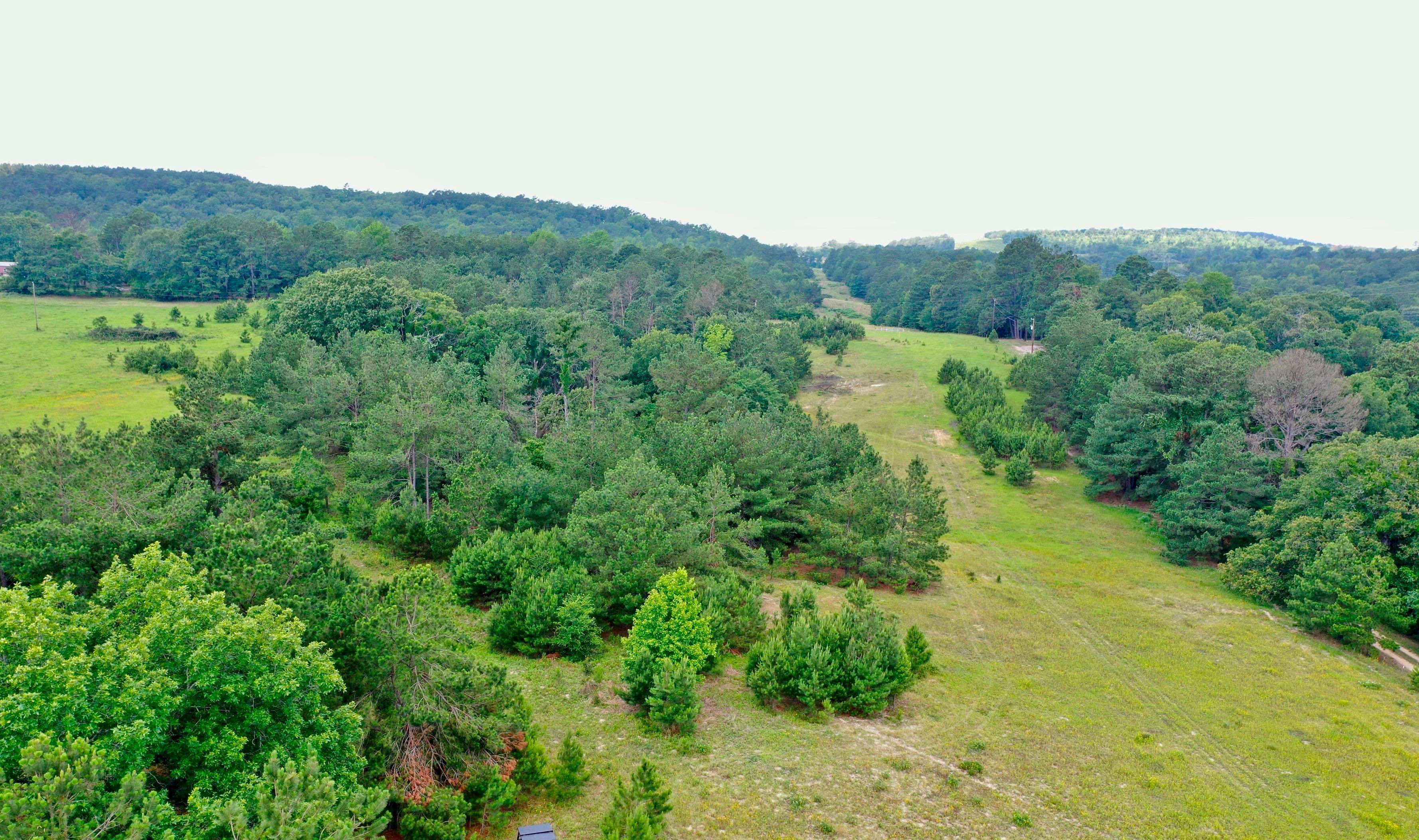 11 acres in Anderson County, Texas