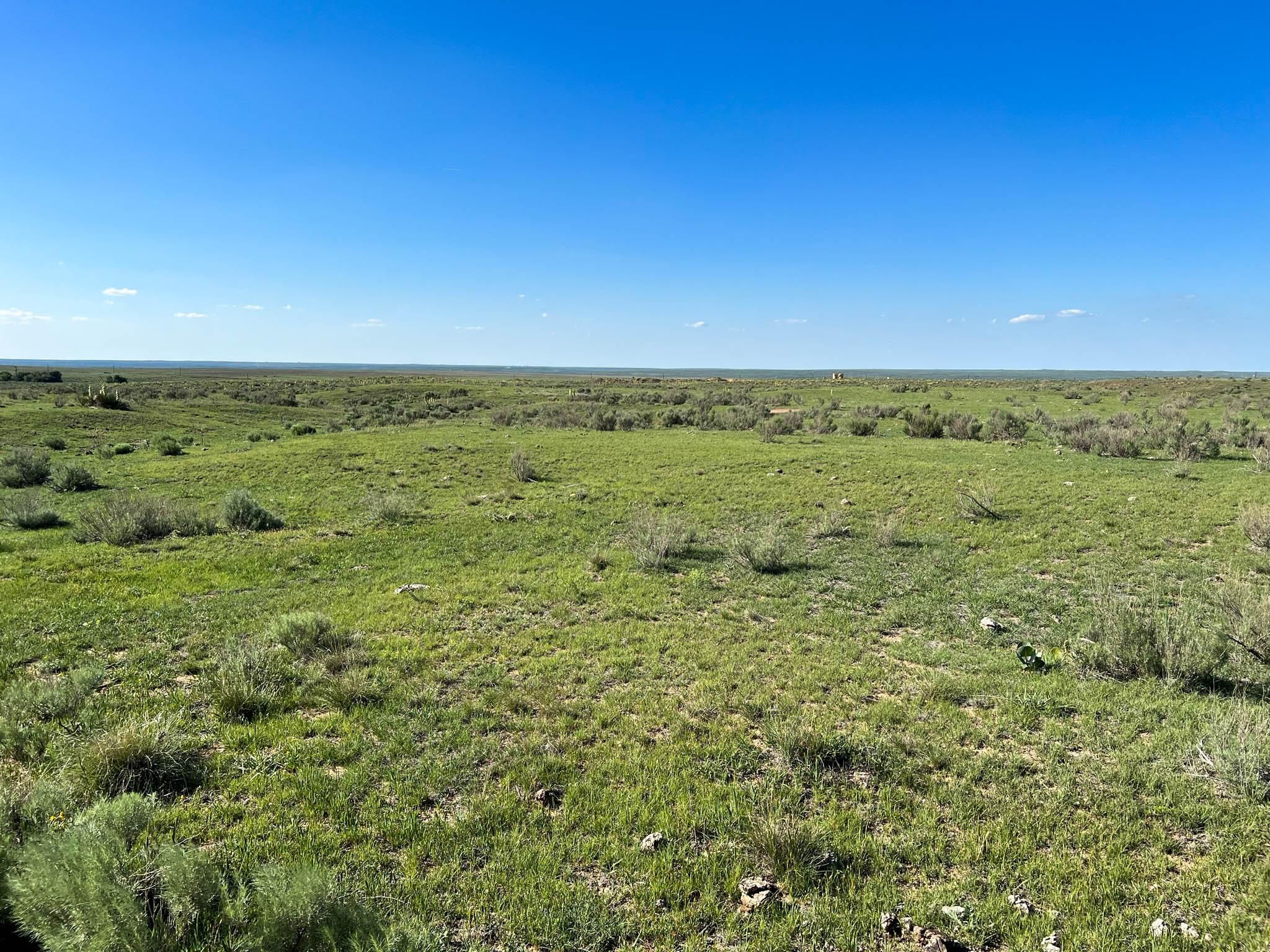 320 acres in Beaver County, Oklahoma