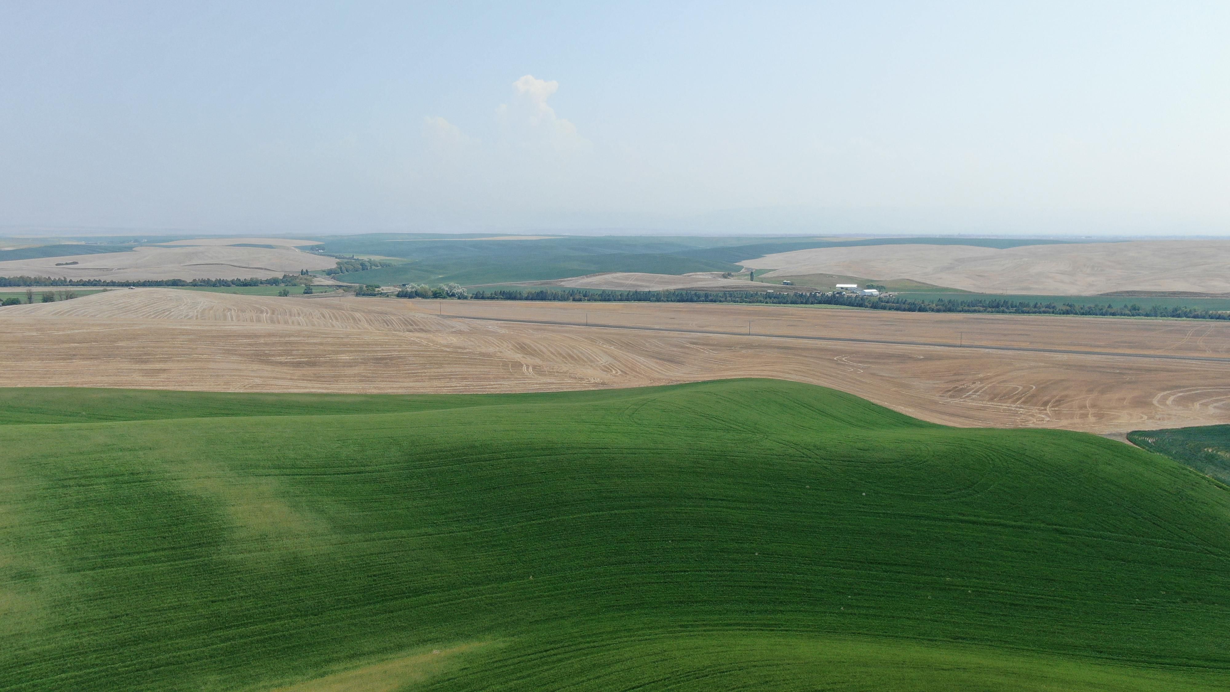 Harvey Shaw Rd, Walla Walla, WA 99362