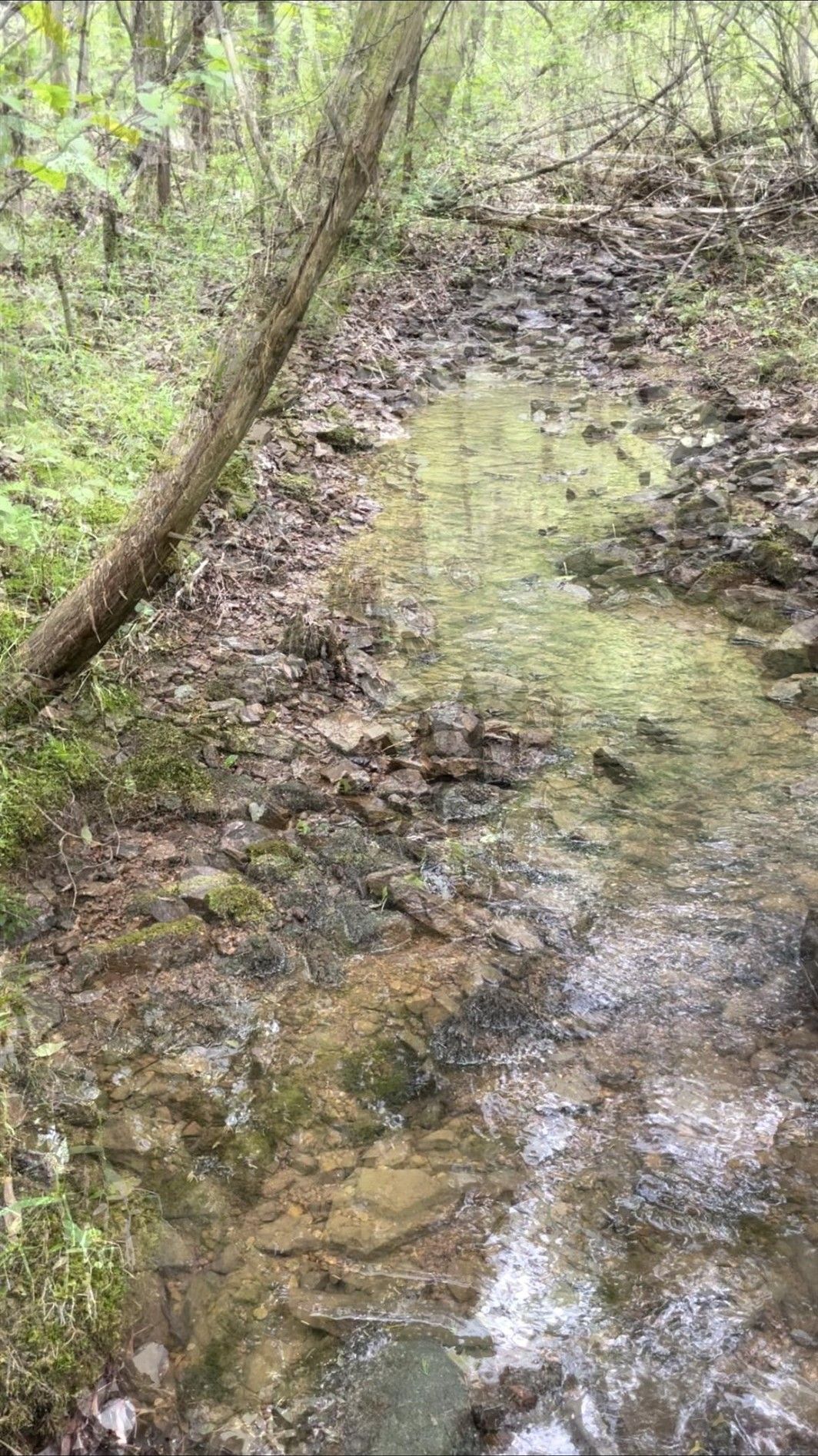 10 acres in Stone County, Arkansas